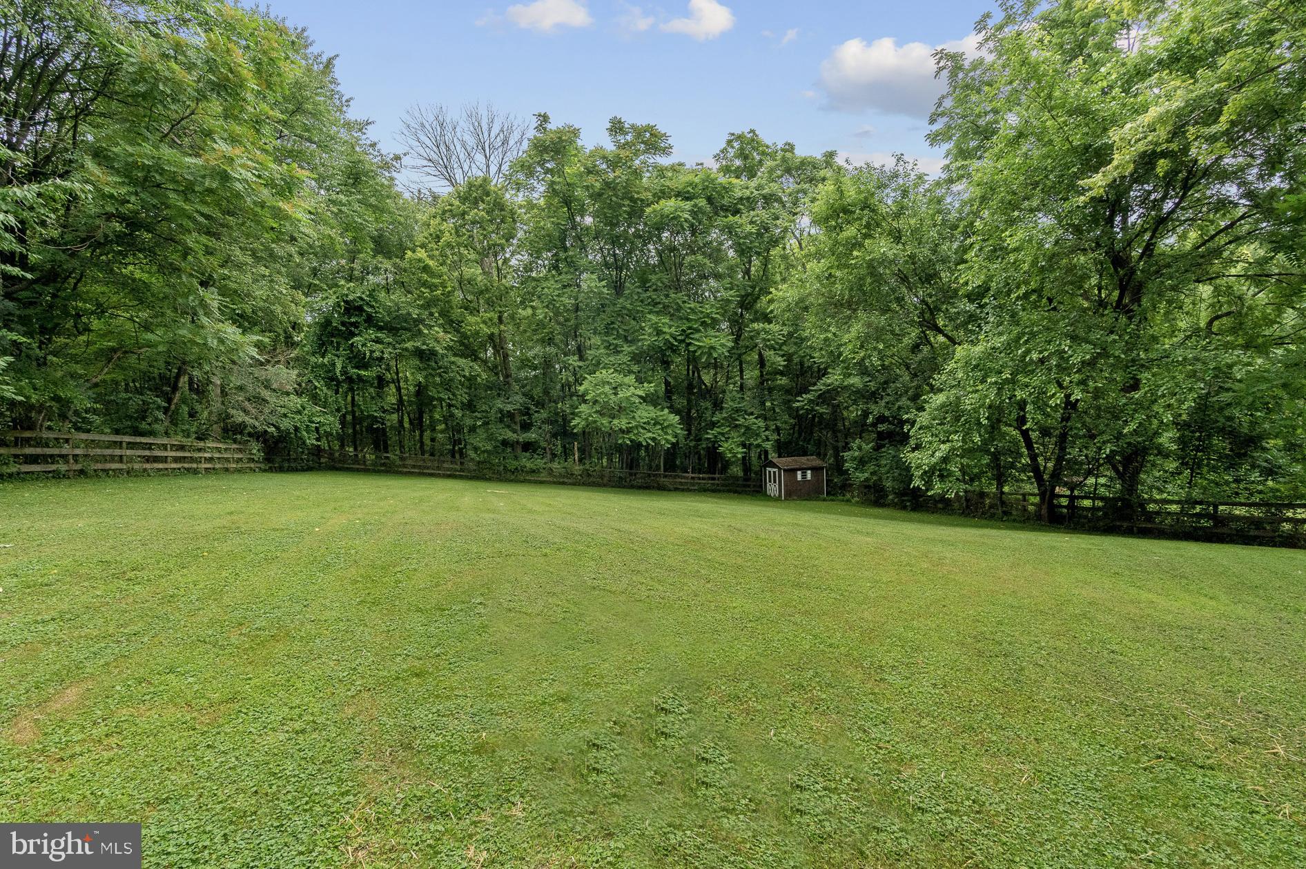 21720 Beallsville Road Barnesville, MD 20838 - Photo 21 of 88 Back pasture ready for grazing!