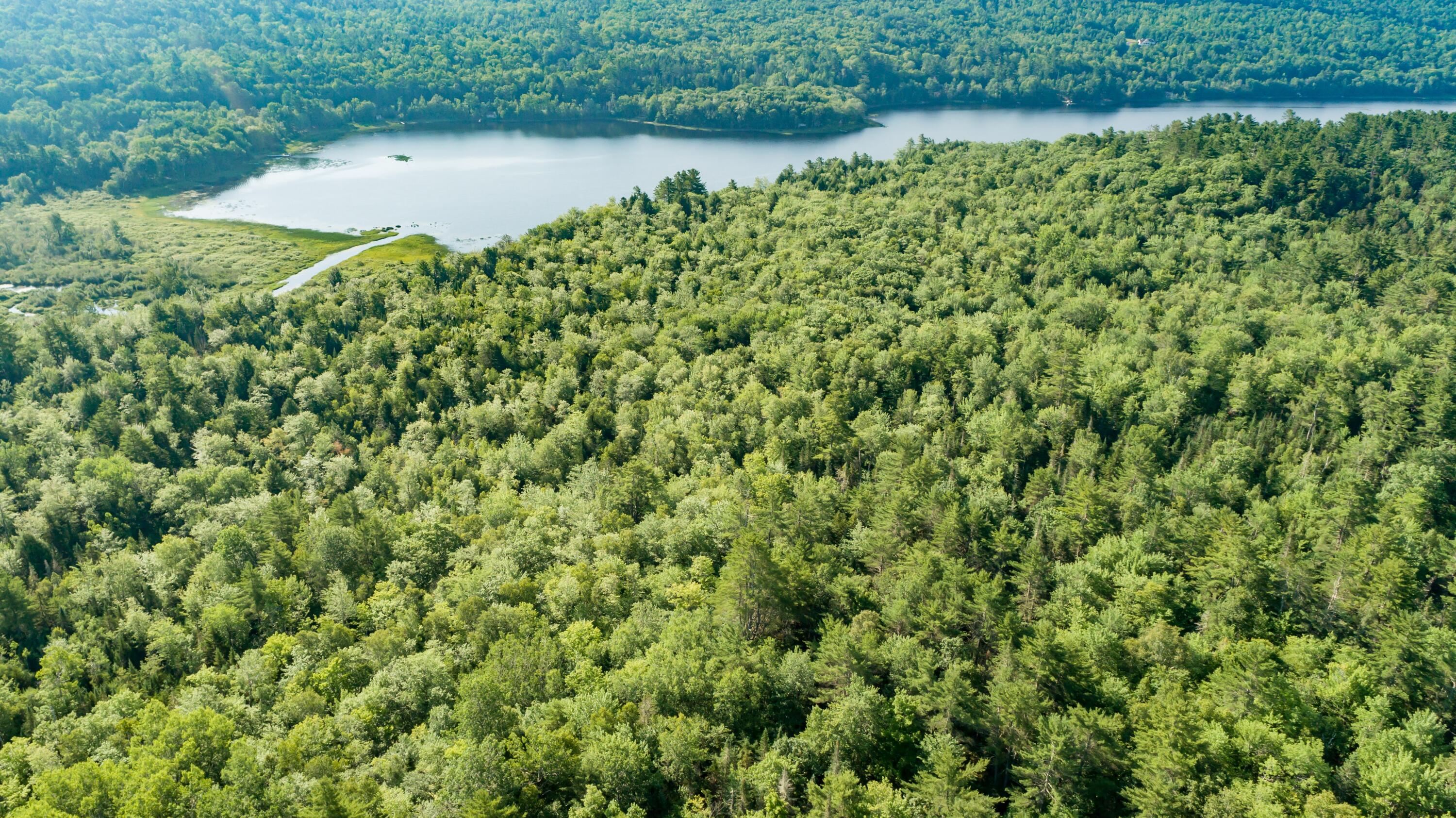 500 Dresser Road Bucksport, ME 04416 - Photo 4 of 28 DJI_0075