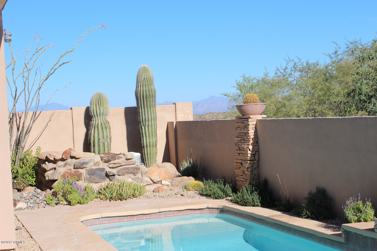 11517 East Ranch Gate Road Scottsdale, AZ 85255 - Photo 6 of 35 a view of a backyard with plants