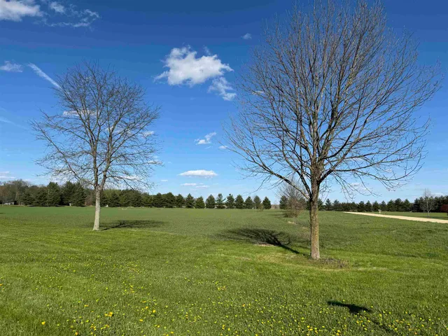 a view of an outdoor space and a yard