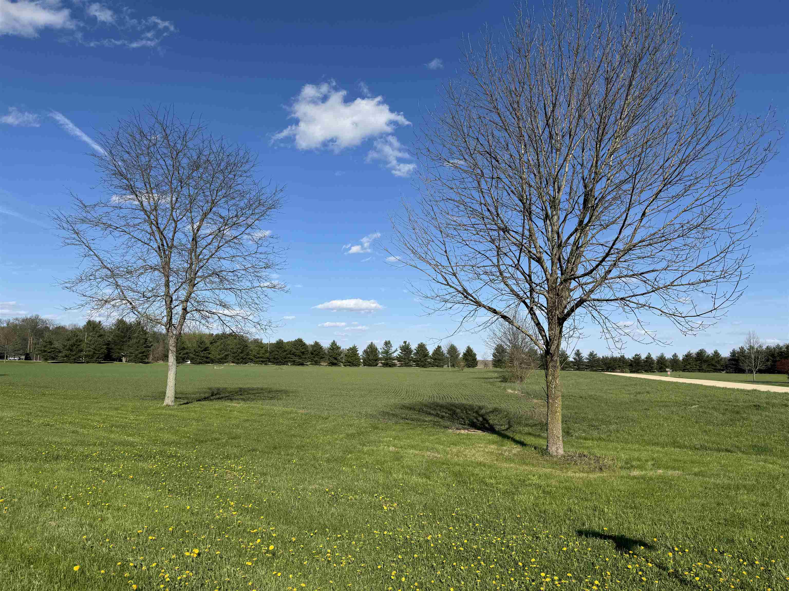 0 Austin Court Oregon, IL 61061 - Photo 5 of 14 a view of an outdoor space and a yard