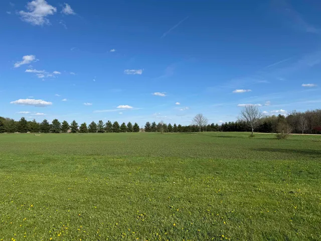 a view of a lake from a yard