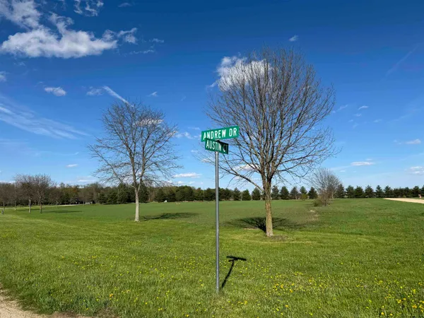 a view of a field with a tree