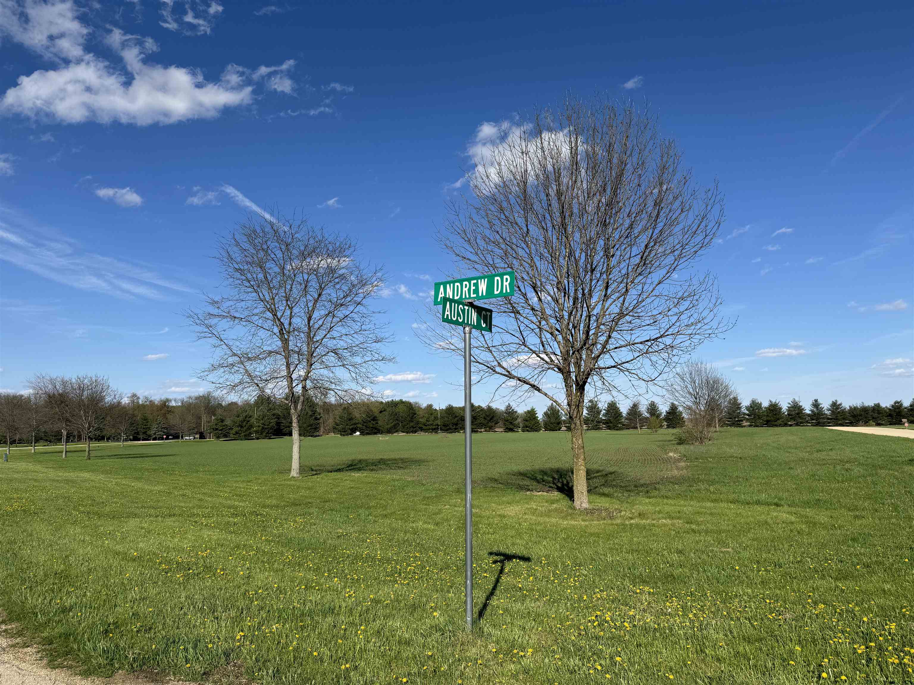 0 Austin Court Oregon, IL 61061 - Photo 8 of 14 a view of a field with a tree