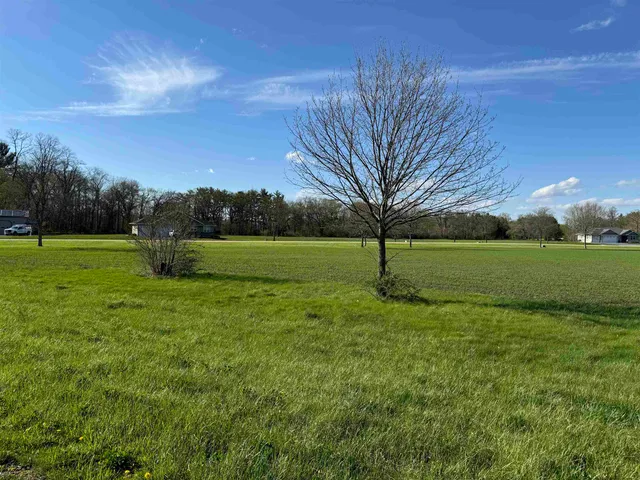 a view of outdoor space with green field and trees