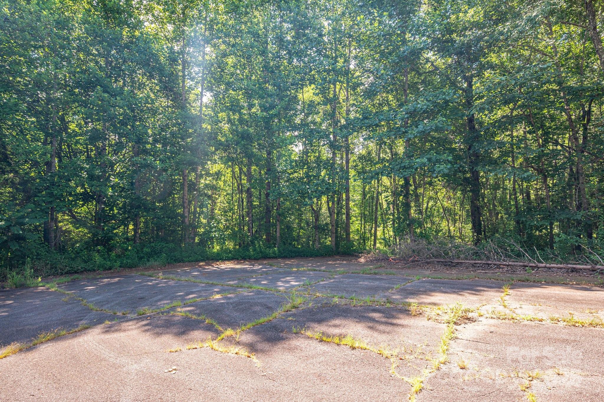 Lot #17 Meadow Crossing Drive Rutherfordton, NC 28139 - Photo 11 of 14 a view of a yard with a tree