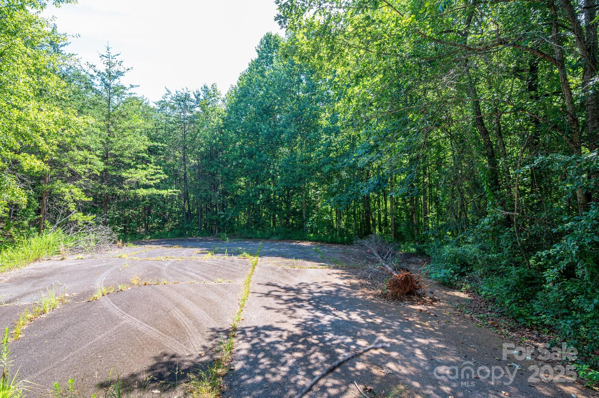Lot #17 Meadow Crossing Drive Rutherfordton, NC 28139 - Photo 12 of 14 a view of backyard with outdoor space