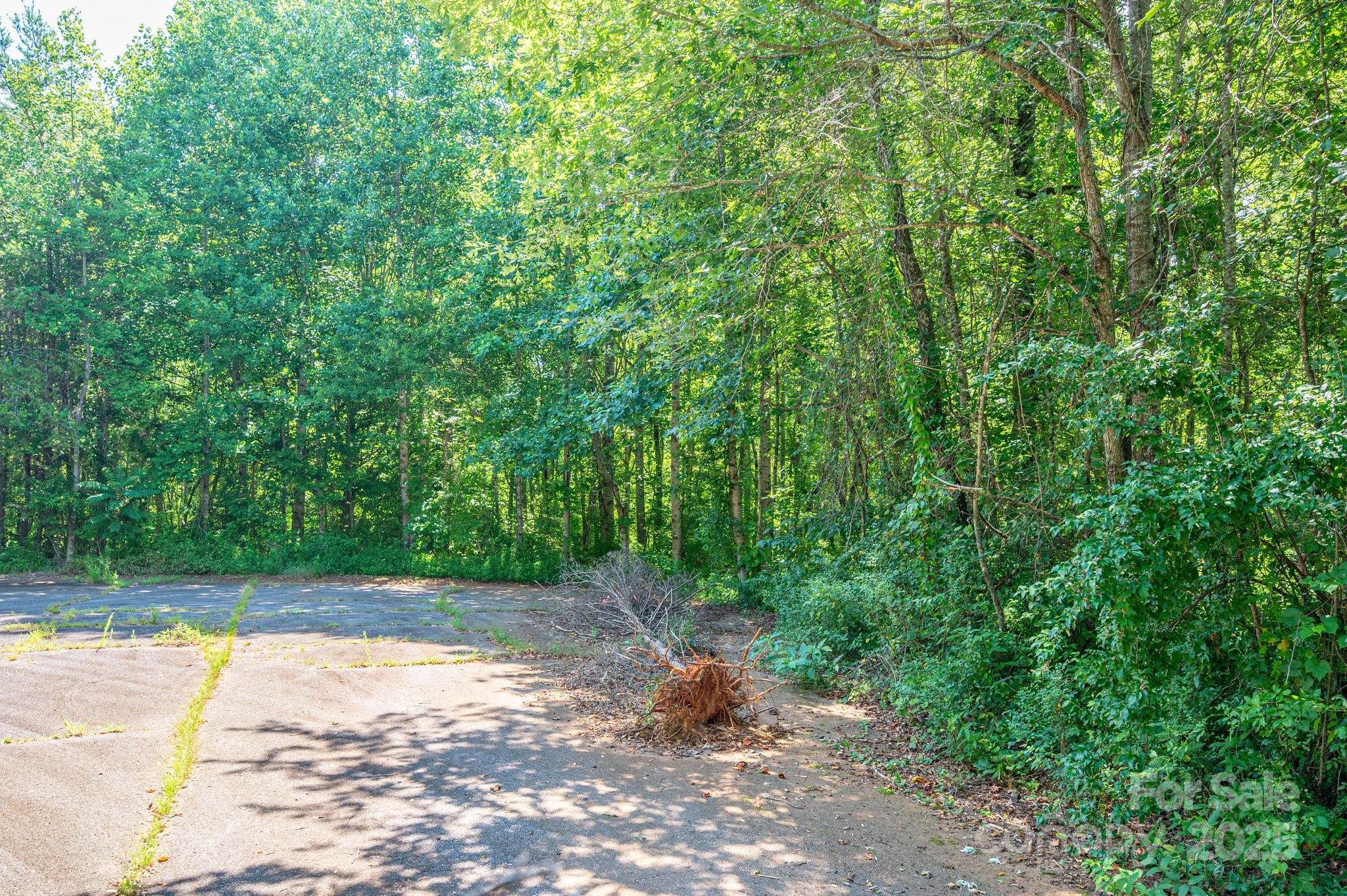 Lot #17 Meadow Crossing Drive Rutherfordton, NC 28139 - Photo 13 of 14 a view of a yard with plants and large trees