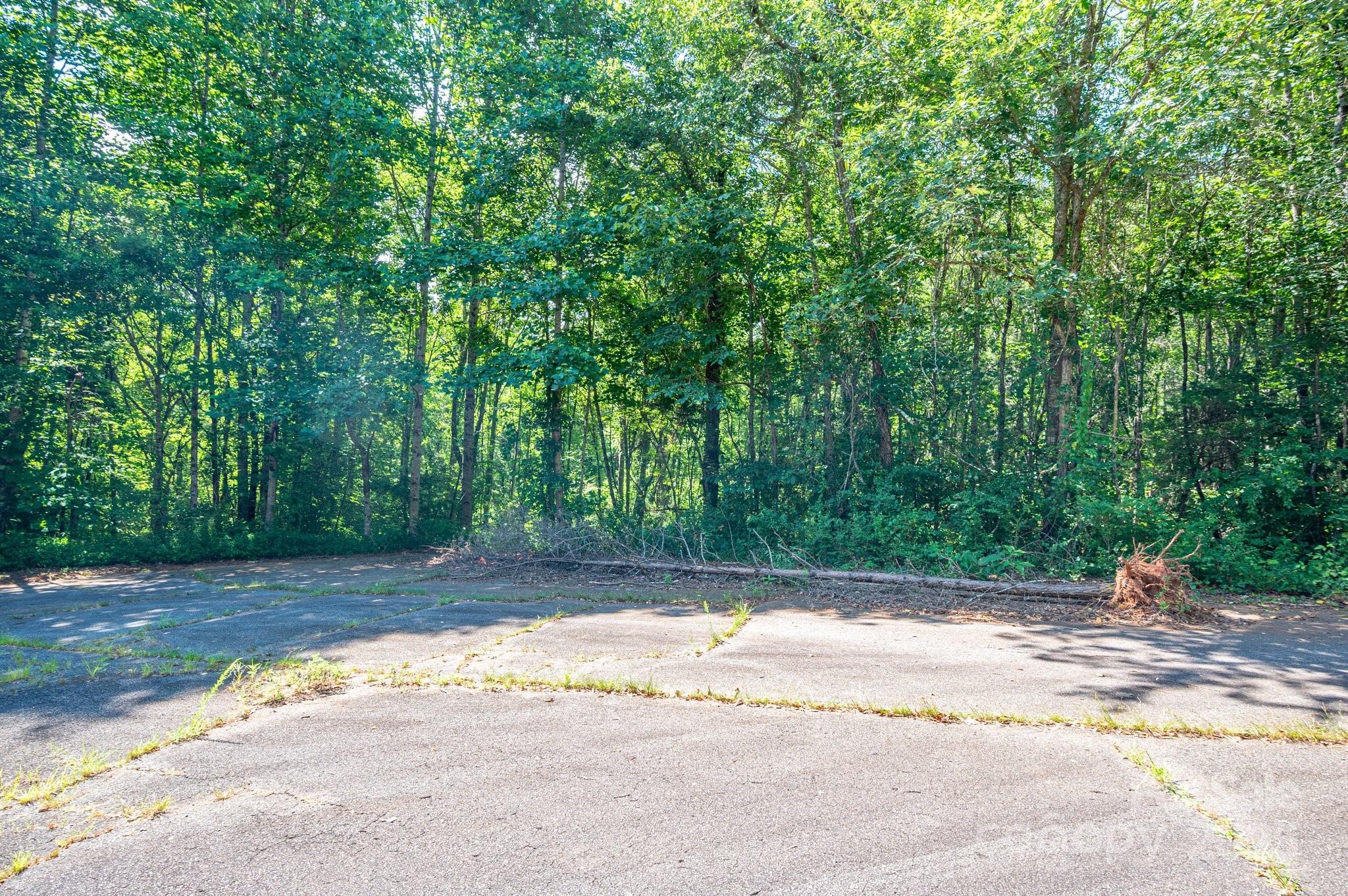 Lot #17 Meadow Crossing Drive Rutherfordton, NC 28139 - Photo 14 of 14 a view of a backyard of a house