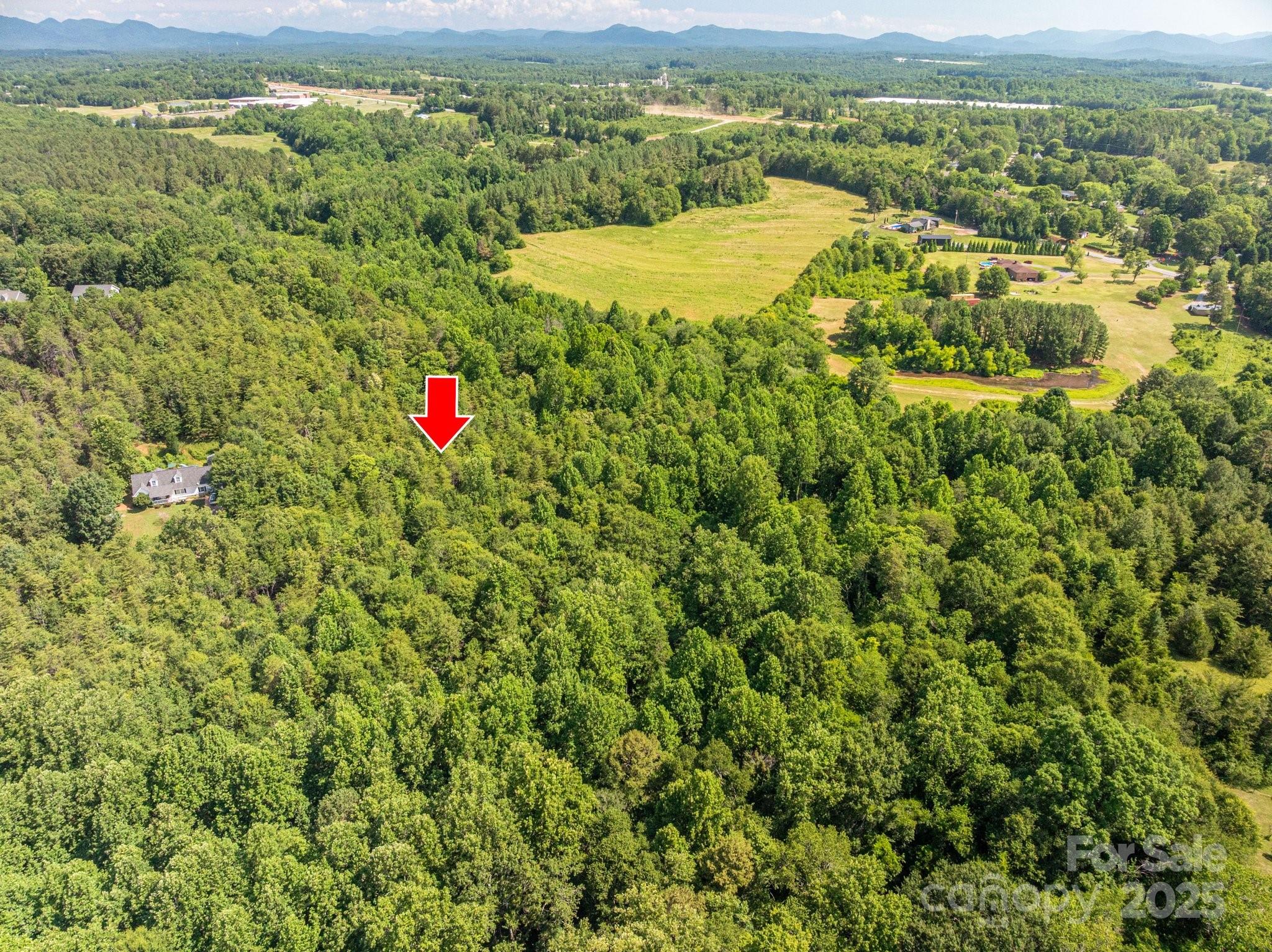 Lot #17 Meadow Crossing Drive Rutherfordton, NC 28139 - Photo 10 of 14 a view of a lush green field with mountains in the background