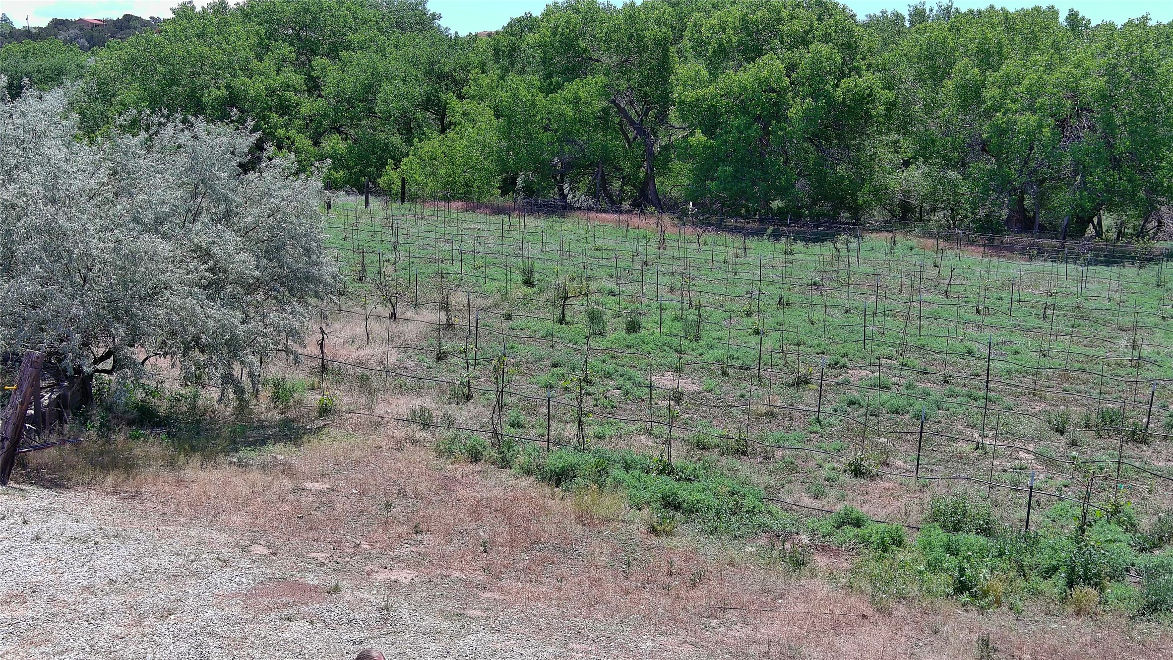 442 Los Pinos Road Santa Fe, NM 87507 - Photo 12 of 70