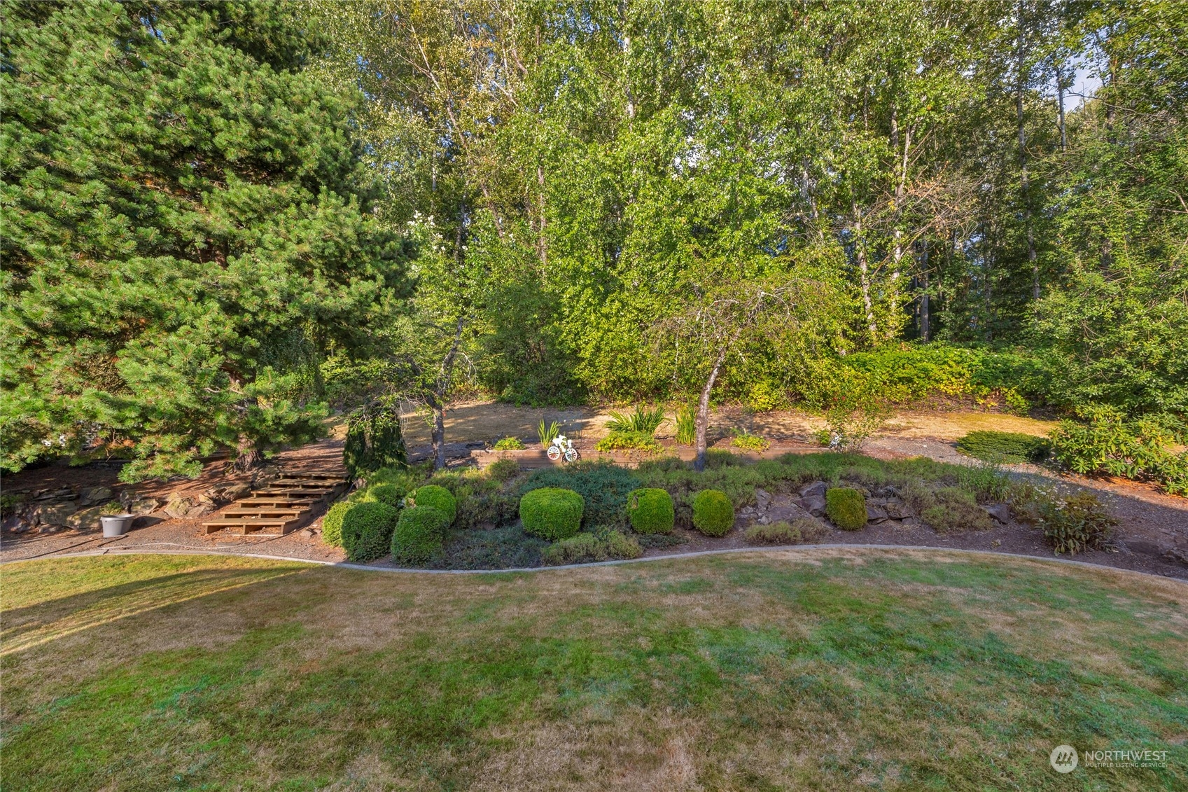 23323 12th Place West Bothell, WA 98021 - Photo 28 of 36 a big yard with plants and large trees
