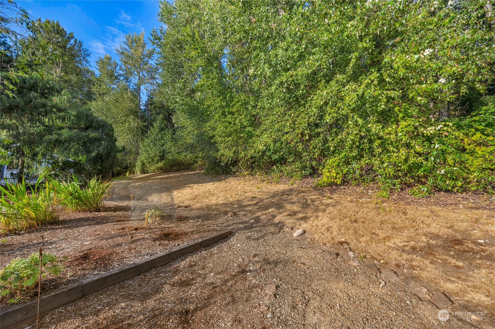 23323 12th Place West Bothell, WA 98021 - Photo 30 of 36 a view of dirt yard with a tree