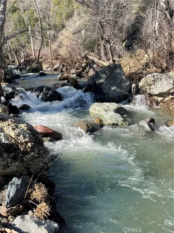 a view of a fire pit with large trees