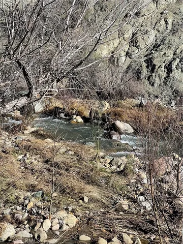 a view of a yard with a tree