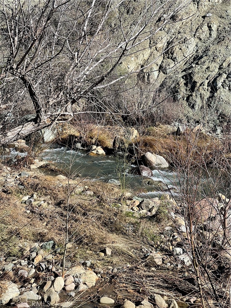 14700 Big Canyon Road Middletown, CA 95461 - Photo 3 of 7 a view of a yard with a tree