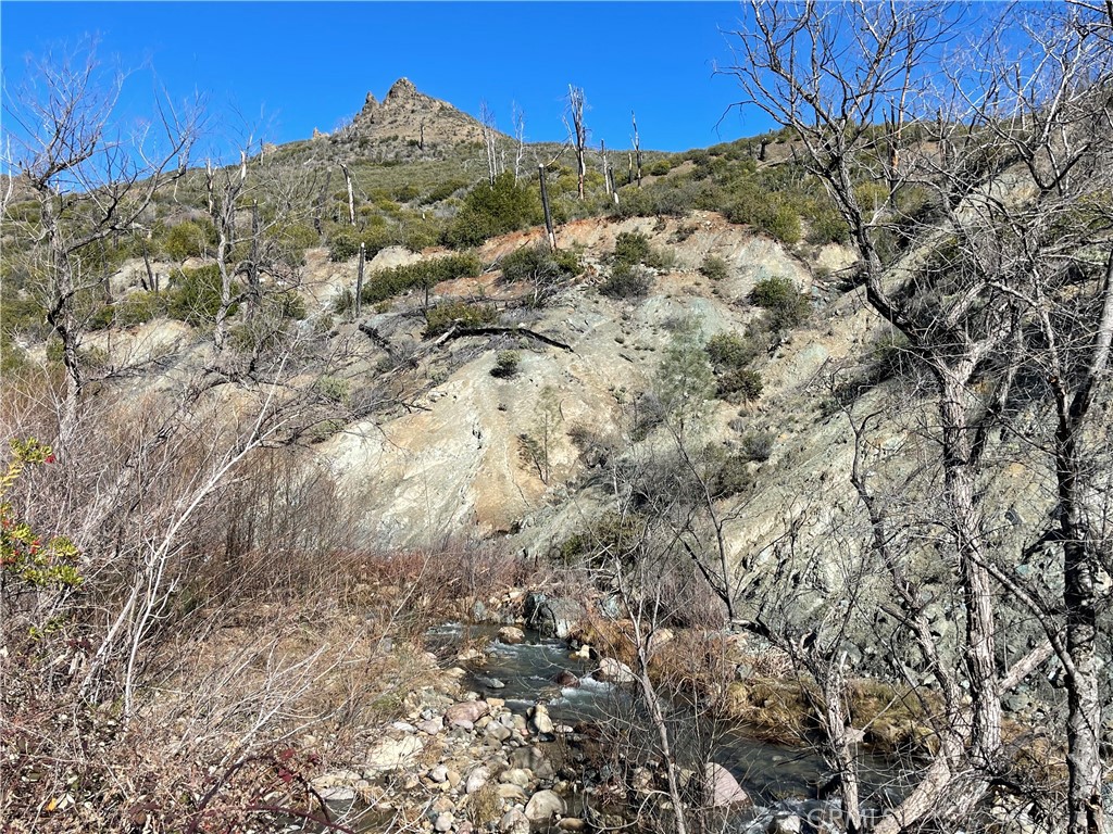 14700 Big Canyon Road Middletown, CA 95461 - Photo 5 of 7 a close up of a snow on a field