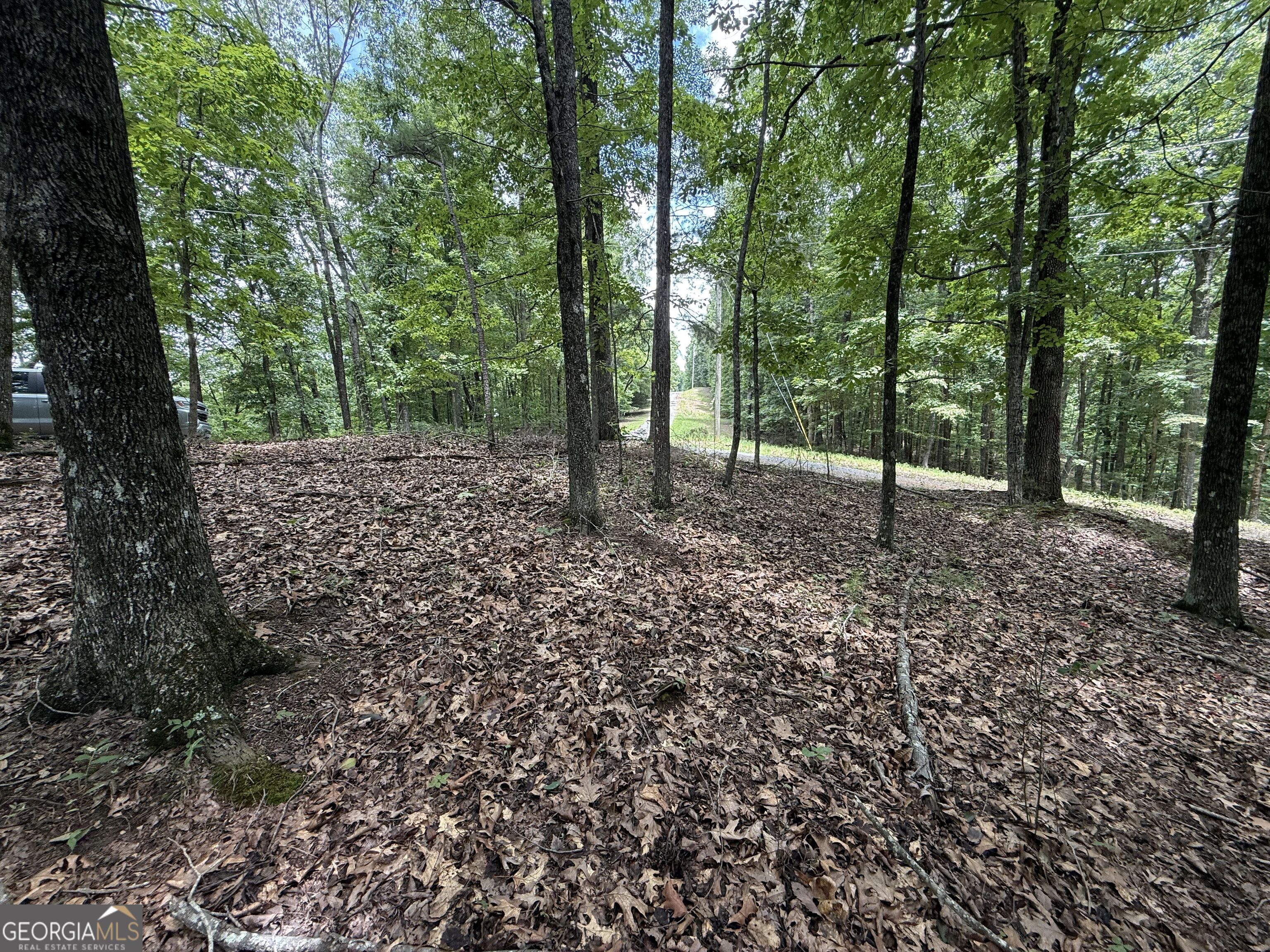 Lot 1065 Mayfield Lane Northeast Ranger, GA 30734 - Photo 10 of 19 Gallery Image 10