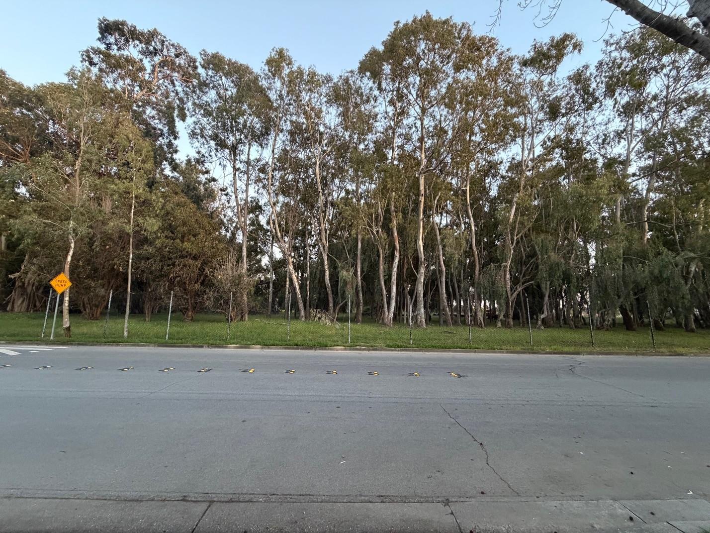 5417 Ridgewood Drive Fremont, CA 94555 - Photo 35 of 36 a ground with trees in the background