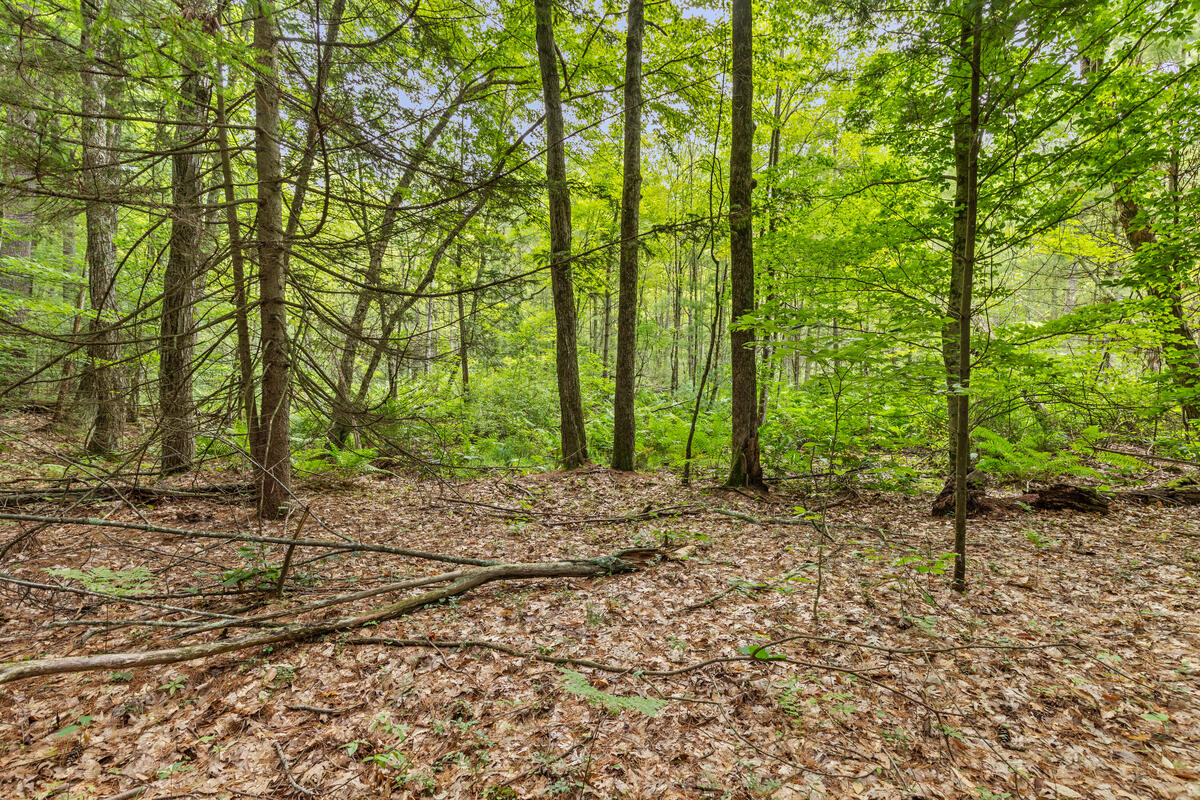 V/l East Stanton Road Stanton, MI 48888 - Photo 25 of 26 Vacant-land-just_019