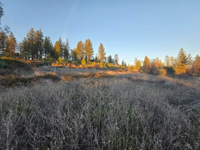 $98,000 | Donkey Mine Road, Oak Run, CA 96069