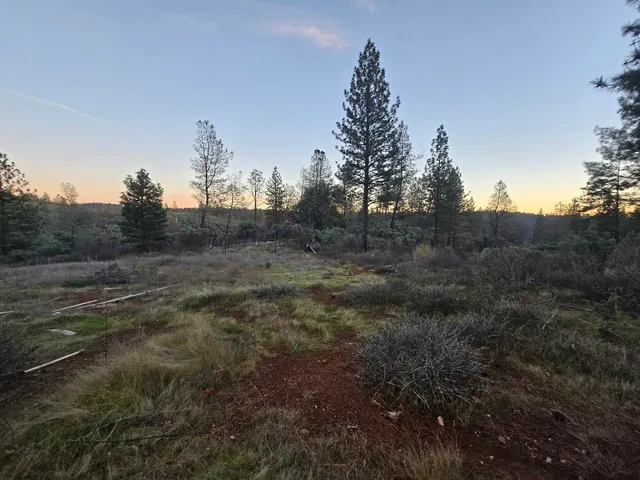 $98,000 | Donkey Mine Road, Oak Run, CA 96069