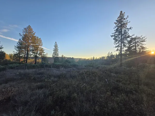 $98,000 | Donkey Mine Road, Oak Run, CA 96069