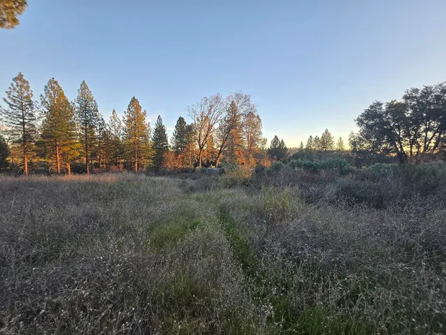 $98,000 | Donkey Mine Road, Oak Run, CA 96069