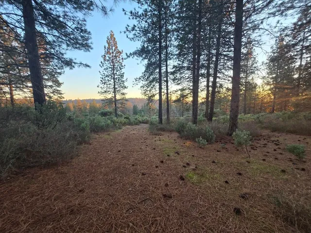 $98,000 | Donkey Mine Road, Oak Run, CA 96069