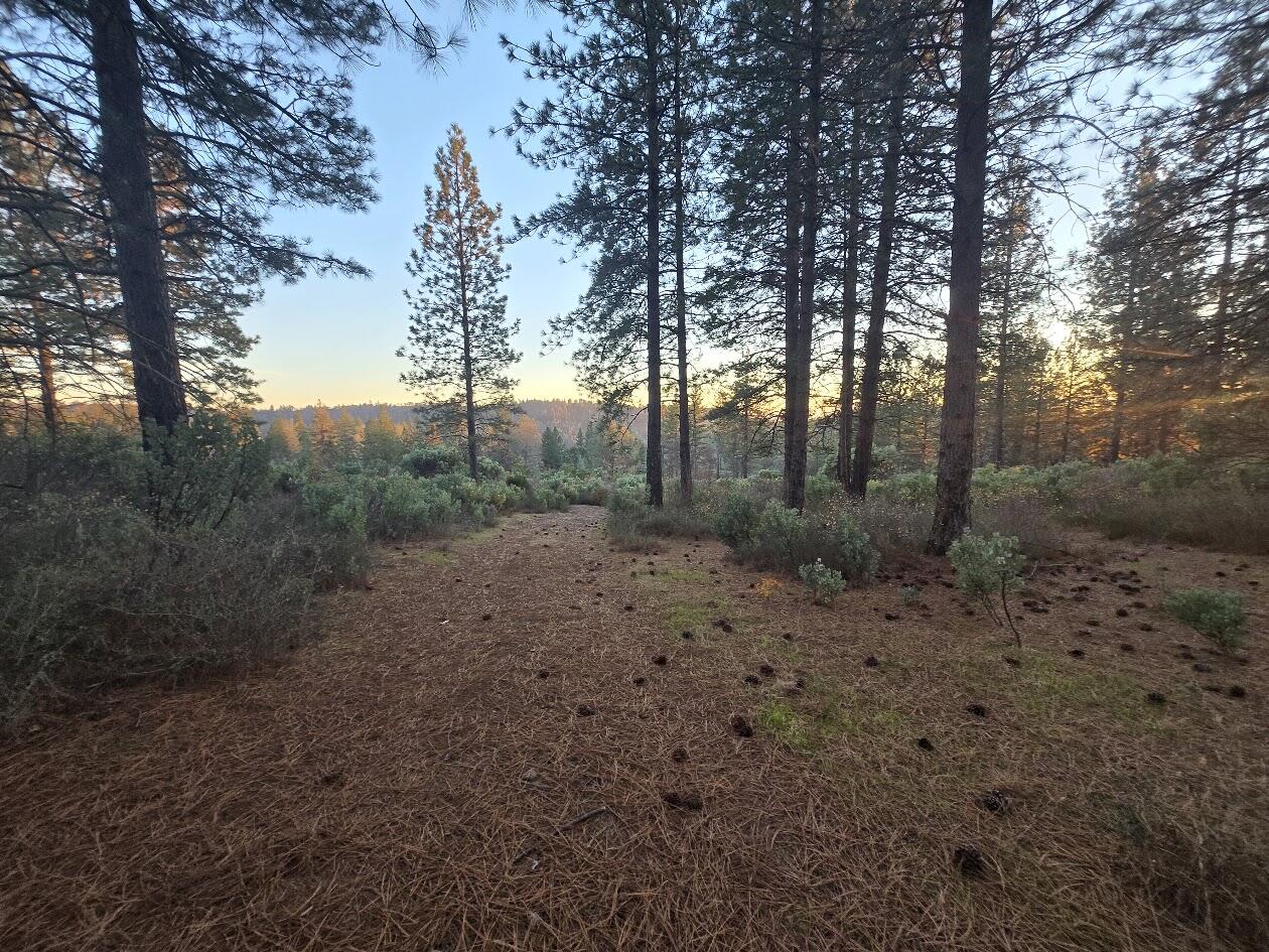 Donkey Mine Road Oak Run, CA 96069 - Photo 8 of 17 20251206_163208