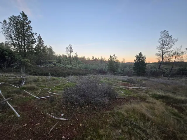 $98,000 | Donkey Mine Road, Oak Run, CA 96069