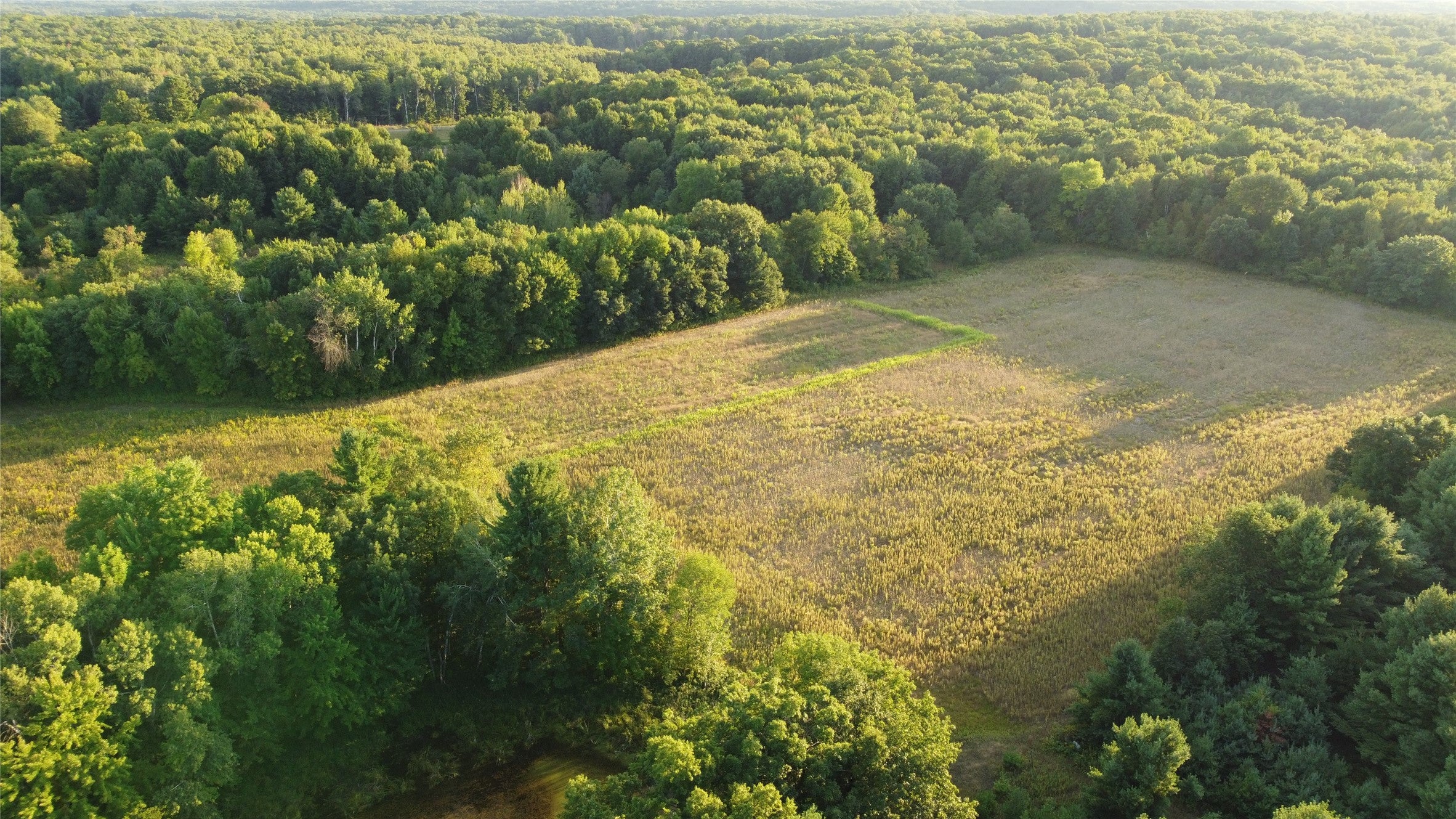 Xx 340th Avenue Frederic, WI 54837 - Photo 10 of 27 Gallery Image 10