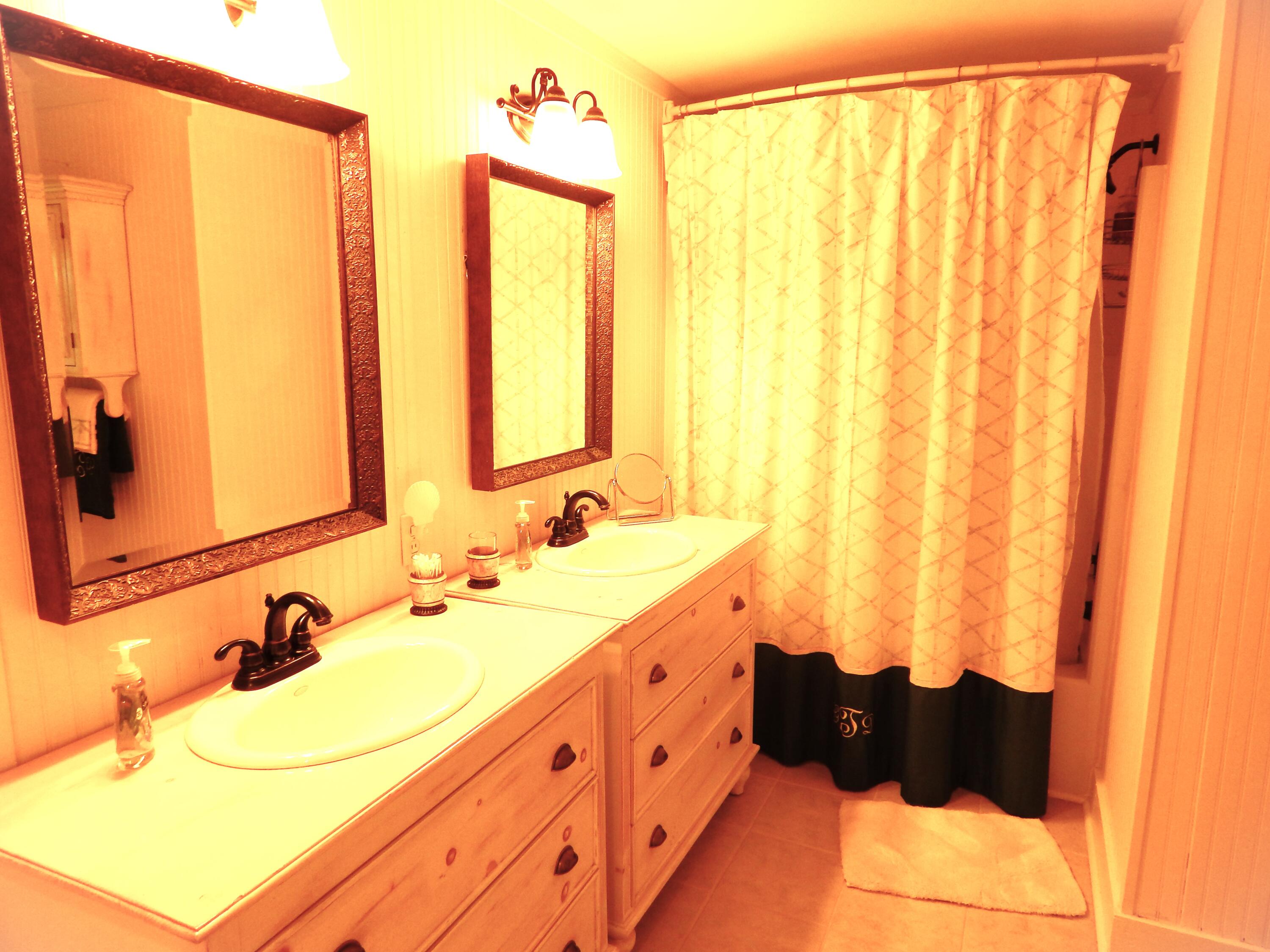 1150 Overton Drive Moncks Corner, SC 29461 - Photo 22 of 49 Double sinks in master bedroom