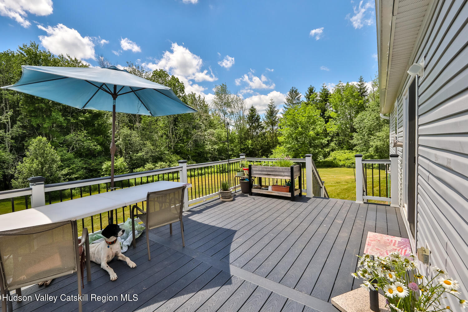 135 Peck Road Jewett, NY 12444 - Photo 4 of 24 2V2A4565-Edt