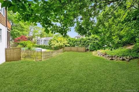 a garden with plants