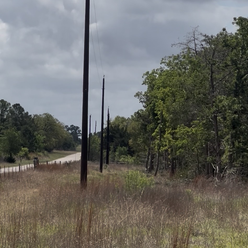 Lot 7 South Old Potato Road Paige, TX 78659 - Photo 5 of 22 Image quality insufficient for description