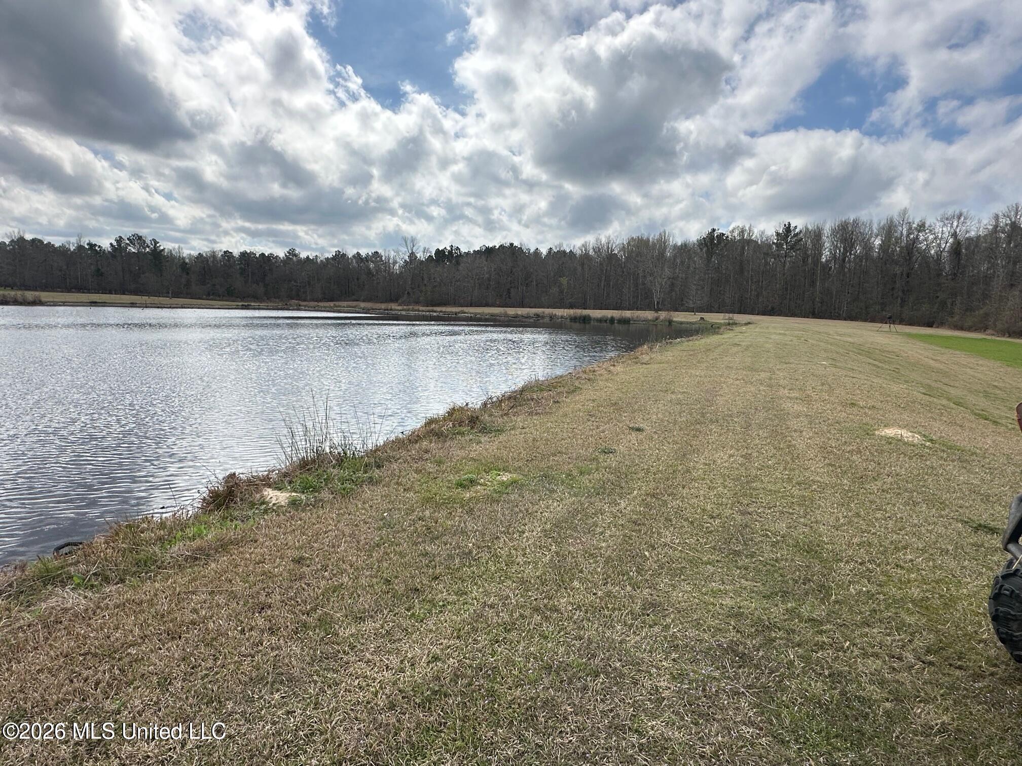 23-acres Barnes Road Florence, MS 39073 - Photo 11 of 11 IMG_3827