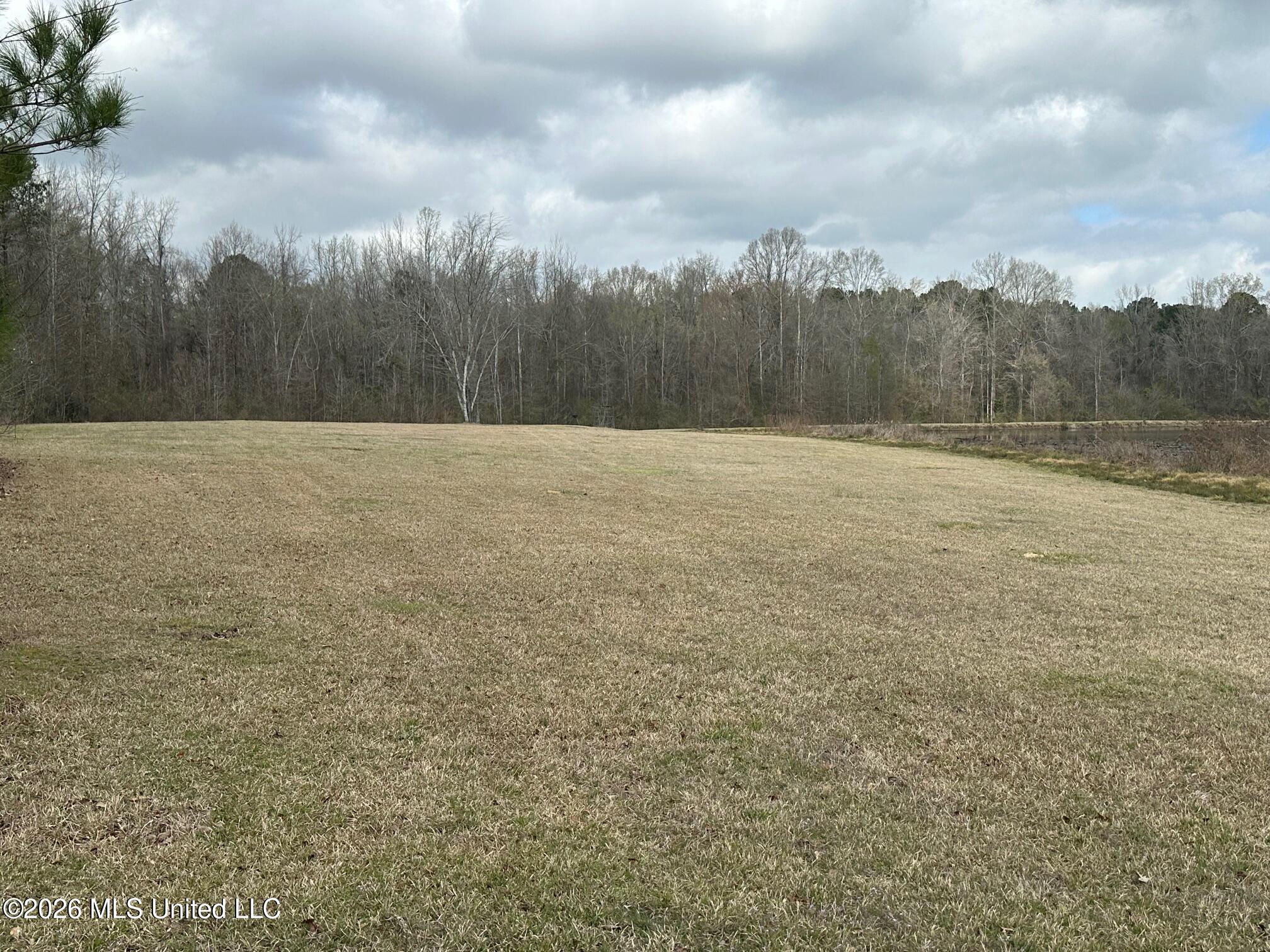 23-acres Barnes Road Florence, MS 39073 - Photo 2 of 11 IMG_3819