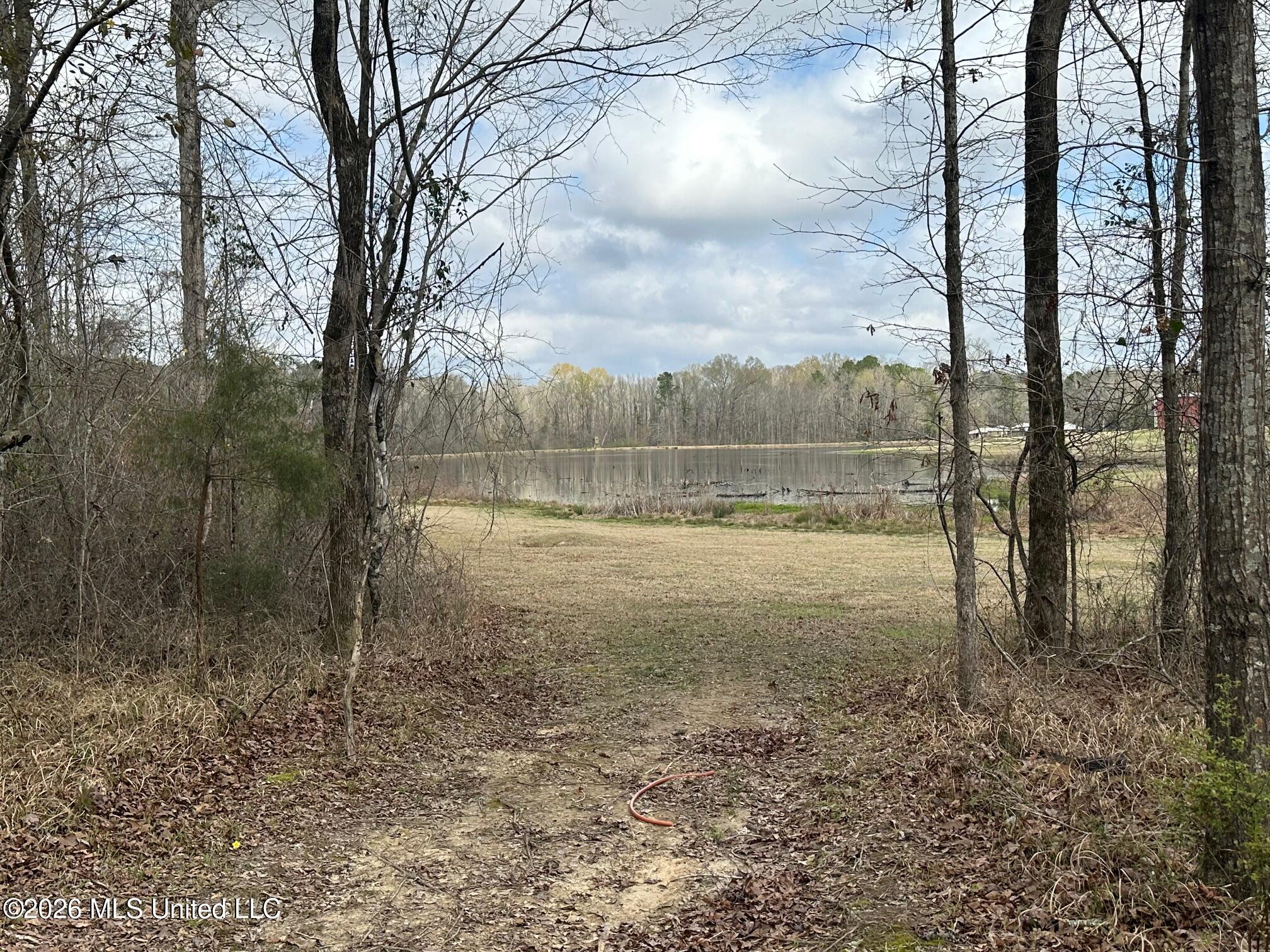 23-acres Barnes Road Florence, MS 39073 - Photo 5 of 11 IMG_3817