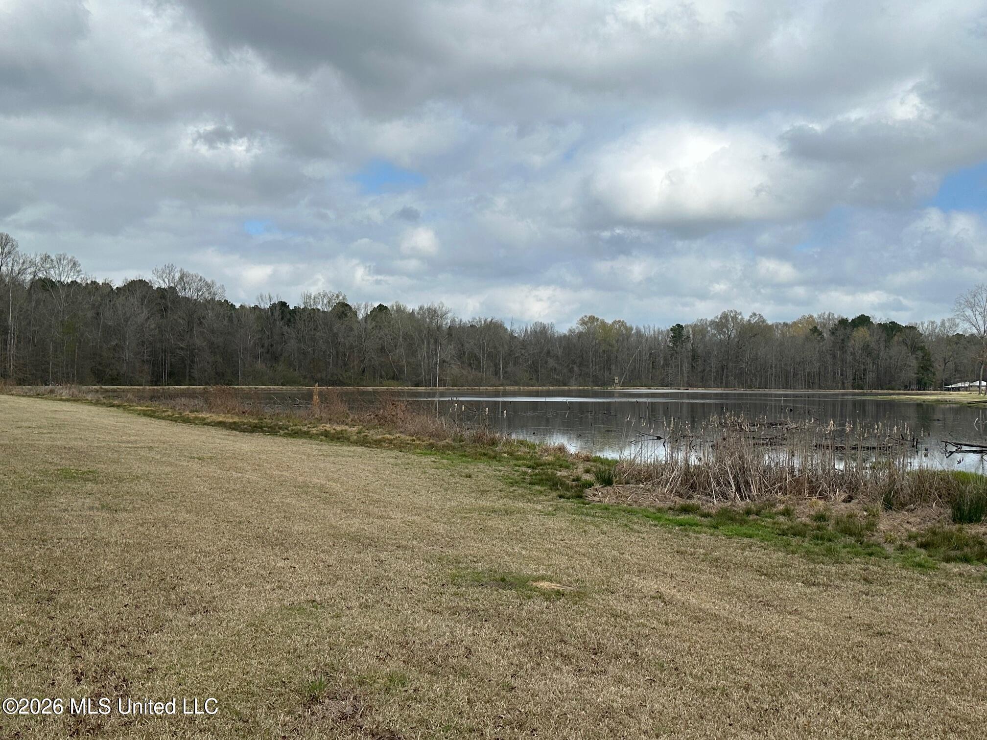 23-acres Barnes Road Florence, MS 39073 - Photo 6 of 11 IMG_3818