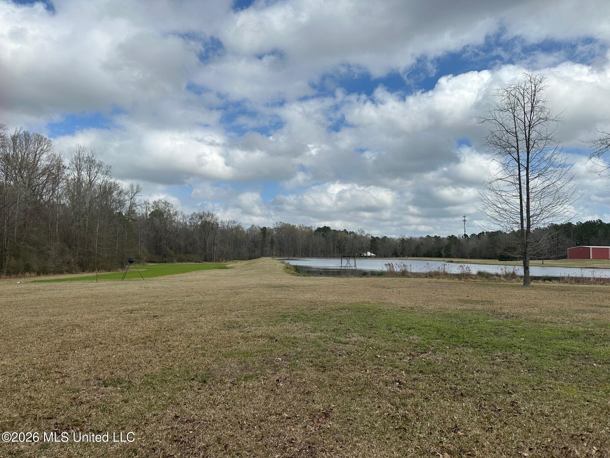 23-acres Barnes Road Florence, MS 39073 - Photo 7 of 11 IMG_3823