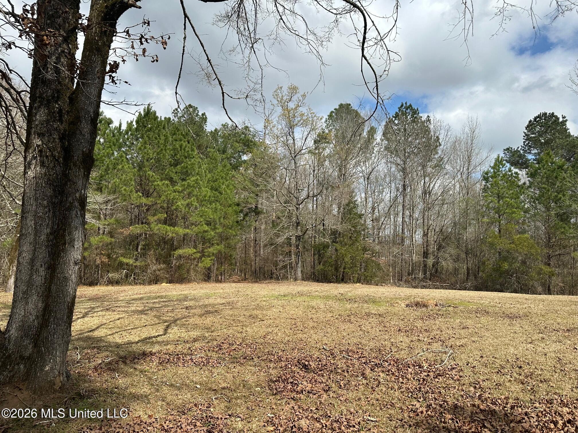 23-acres Barnes Road Florence, MS 39073 - Photo 10 of 11 IMG_3815