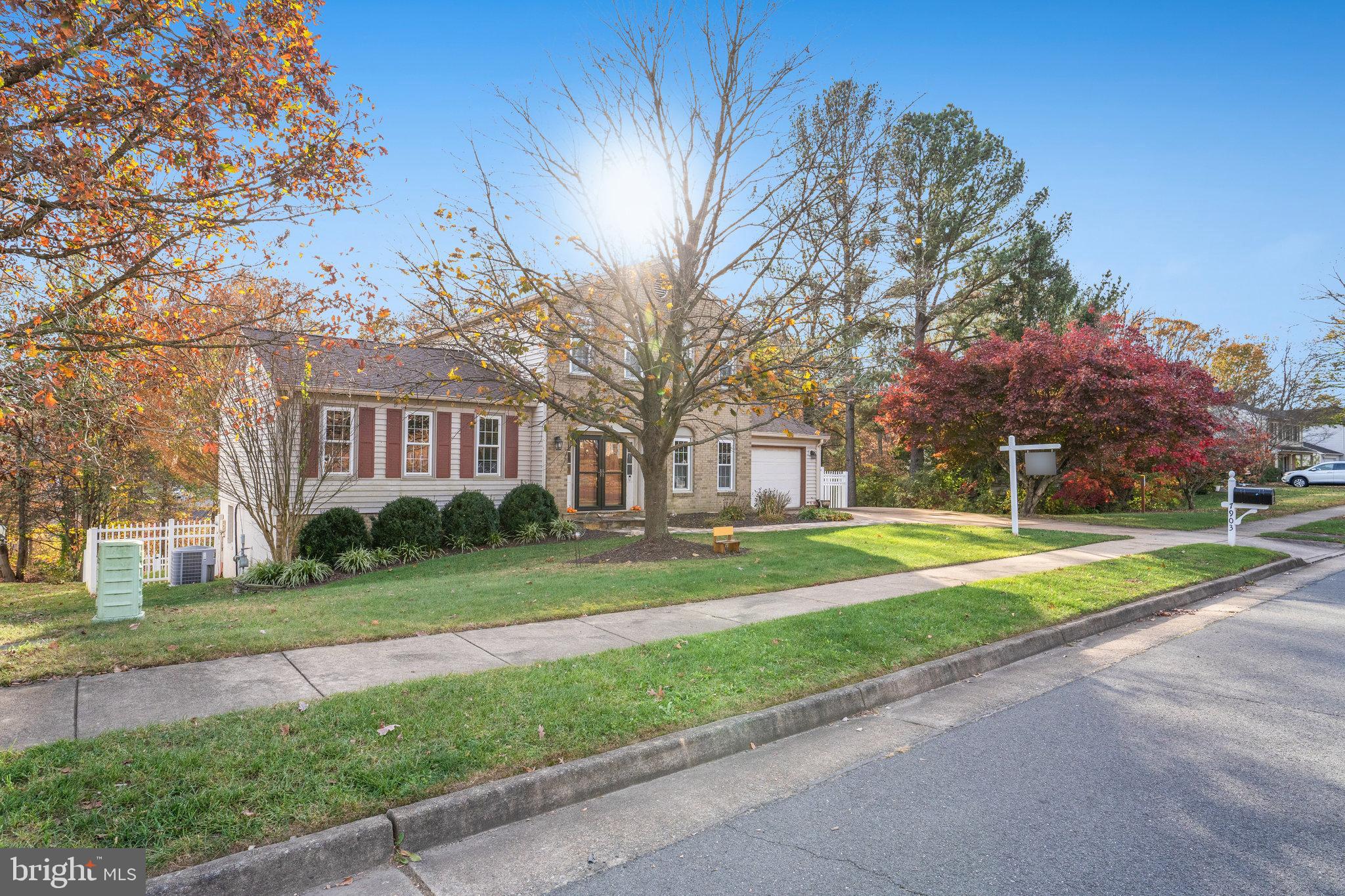 7903 Richfield Road Springfield, VA 22153 - Photo 3 of 60