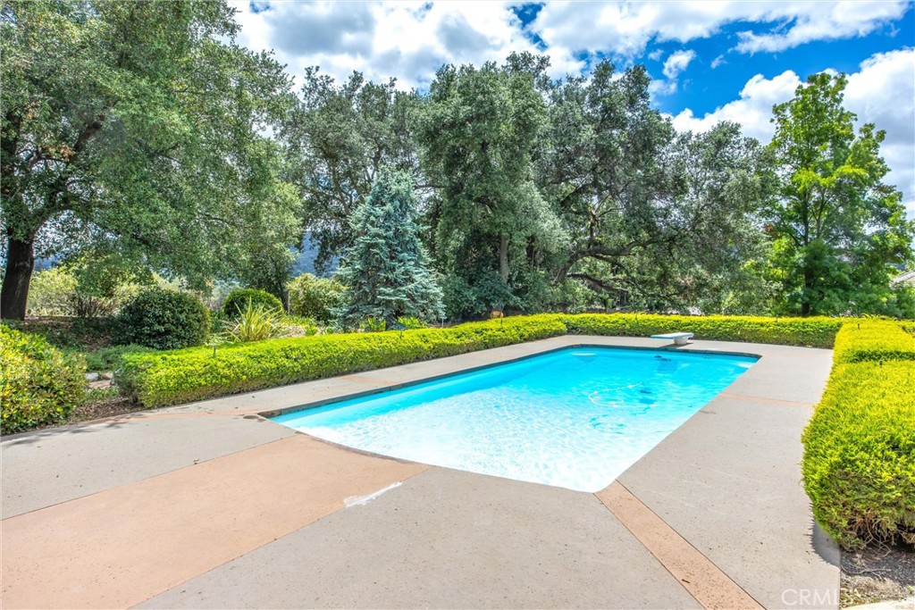 37295 Oak View Road Yucaipa, CA 92399 - Photo 42 of 59 a view of a swimming pool and trees in the background