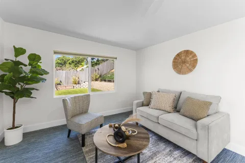 a living room with furniture and a potted plant