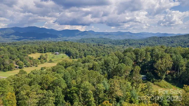 a view of a lush green field with lots of bushes