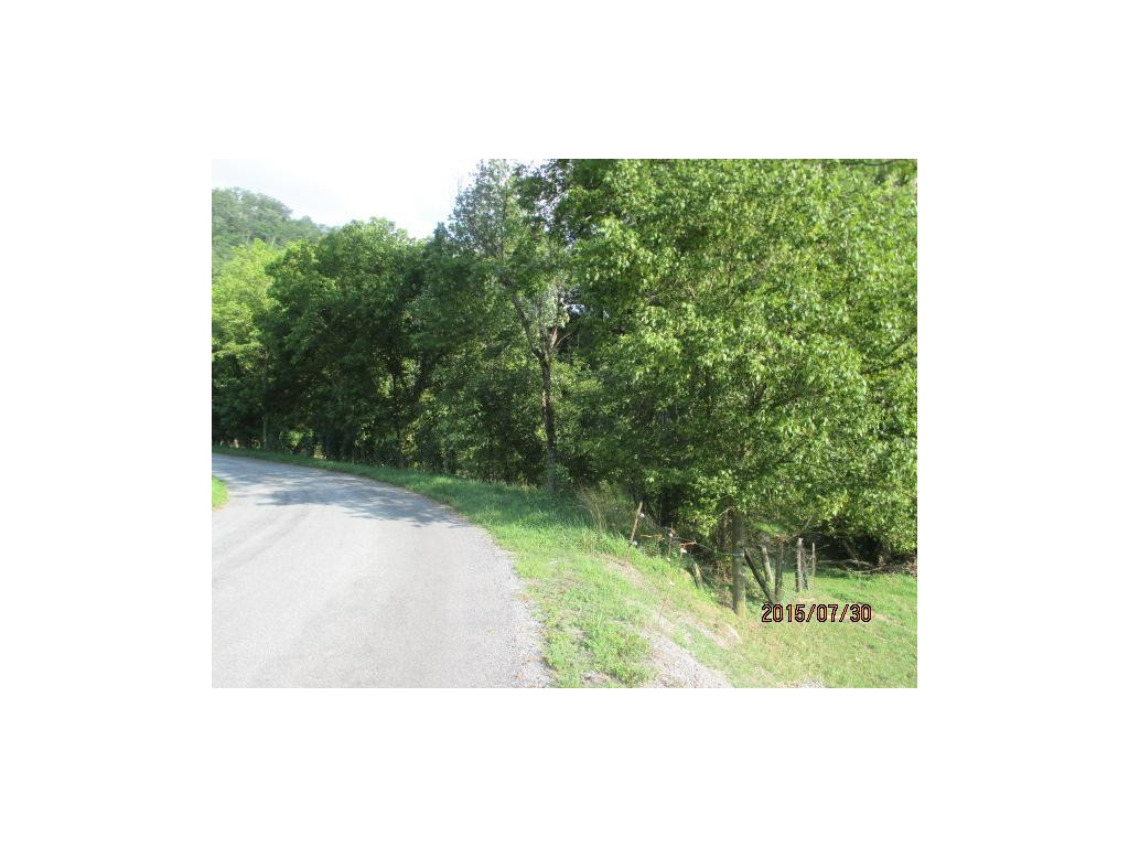 127 Cameron Church Road Gate City, VA 24251 - Photo 4 of 5 Photo 5