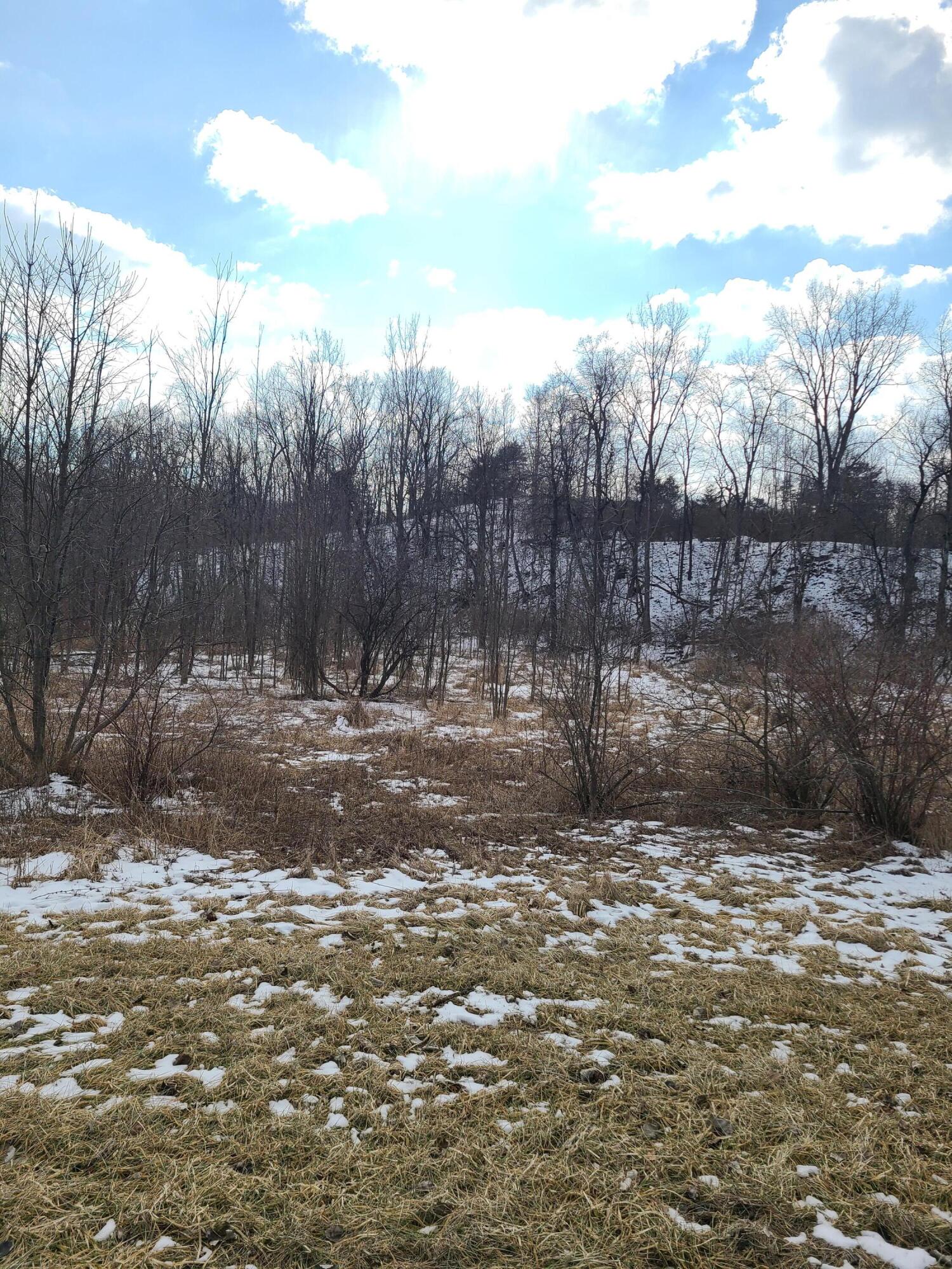 Brott Road Reading, MI 49274 - Photo 1 of 1 20220201_132510