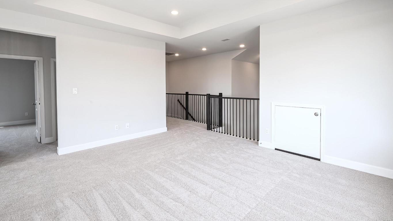 285 Prickly Poppy Loop Kyle, TX 78640 - Photo 23 of 40 Unfurnished room featuring light carpet, recessed lighting, and a tray ceiling