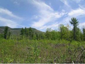 44 North Thrasher Road Weathersfield, VT 05149 - Photo 1 of 1